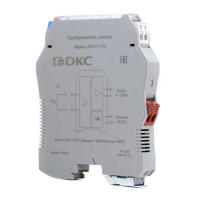 DSI-C1-1110  фото
