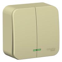 BLNVA105117 Systeme Electric фото