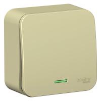 BLNVA101117 Systeme Electric фото