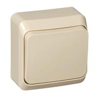 BA10-001K Systeme Electric фото