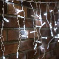 255-036 Neon-Night фото