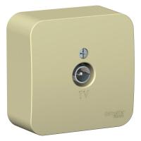 BLNTA000017 Systeme Electric фото