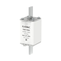 1FG01-0100-400V-AR  фото