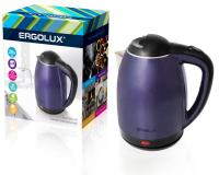 13123 Ergolux фото