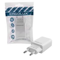 15203 Ergolux фото