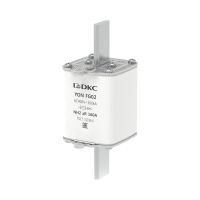 1FG02-0160-400V-AR  фото
