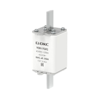 1FG01-0250-400V-AR  фото