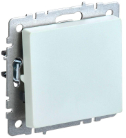 BR-V10-0-10-K36 IEK фото