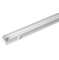 5010376 JazzWay фото