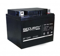 4614030010011 Security Force фото