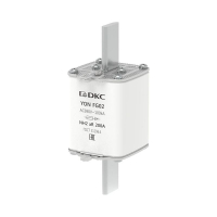 1FG02-0200-690V-AR  фото