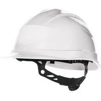 QUARUP3BC Delta Plus фото