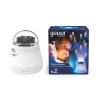 DIY0011 GAUSS фото