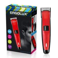 13962 Ergolux фото