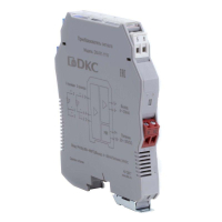 DSI-R1-1110  фото