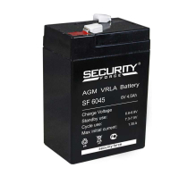 4614030010013 Security Force фото