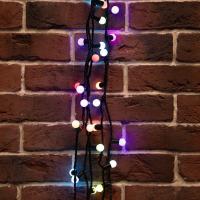 303-509-2 Neon-Night фото