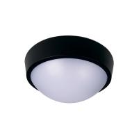 5048393 JazzWay фото