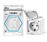 TKL-DT-R1Z-C01-IP54 TOKOV ELECTRIC фото