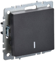 BR-V10-1-10-K02 IEK фото