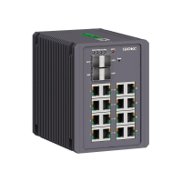 N2000-4GX16GEPN-P1  фото