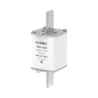 1FG02-0250-690V-AR  фото