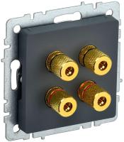 BR-S40-K53  фото