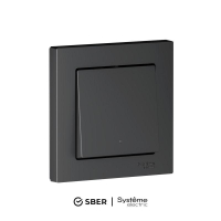 ATN001013Z Умный дом Sber & Systeme Electric фото