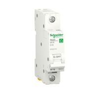 R9F02116 Schneider Electric фото
