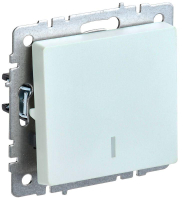 BR-V10-1-10-K36 IEK фото