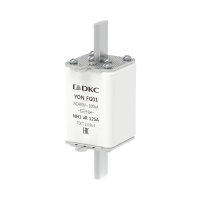 1FG01-0125-400V-AR  фото