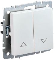 BR-V15-0-10-K36 IEK фото