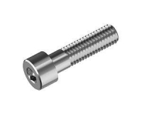 bcg10x100  фото