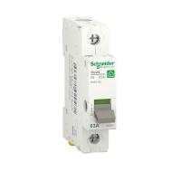 R9PS163 Schneider Electric фото