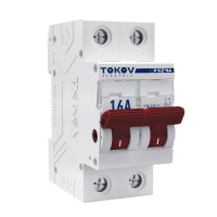 TKE-PZ60-MDSI-2-16 TOKOV ELECTRIC фото