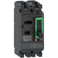 C16F2TM160 Schneider Electric фото