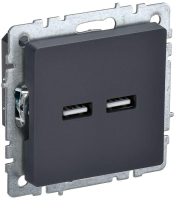 BR-U21-D31-K53 IEK фото