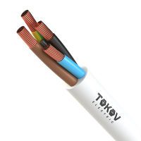 1945532 TOKOV ELECTRIC КПП фото