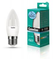12078 Camelion фото