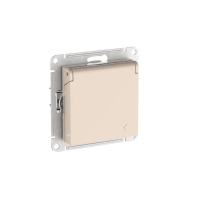 ATN000246S Systeme Electric фото