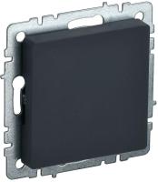BR-PL10-K53  фото
