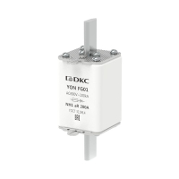 1FG01-0200-690V-AR  фото