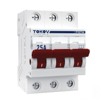 TKE-PZ60-MDSI-3-25 TOKOV ELECTRIC фото