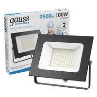 613100100 GAUSS фото