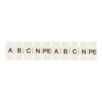 zb-st-6-A-PE  фото