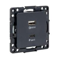 EZR-2USB-type-C EKF фото