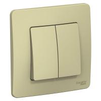BLNVS010507 Systeme Electric фото