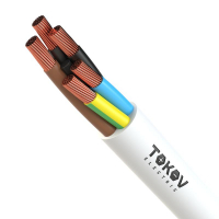 1945503 TOKOV ELECTRIC КПП фото