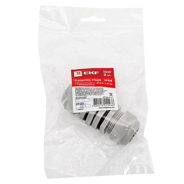 EKF plc-pg-25-2-r
