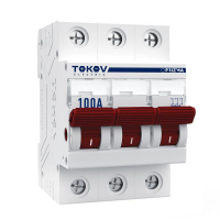 TKE-PZ60-MDSI-3-100 TOKOV ELECTRIC фото